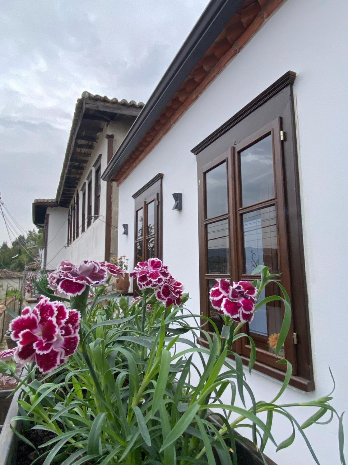 Oda E Skulptorit-Unesco Quarter Berat Bagian luar foto